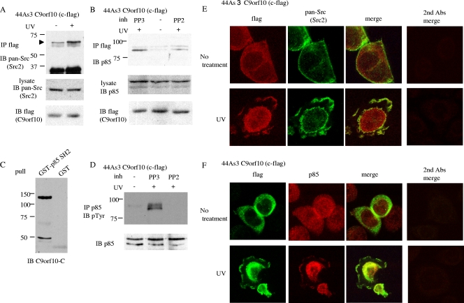 FIG. 6.