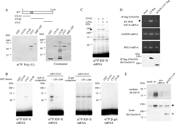 FIG. 7.