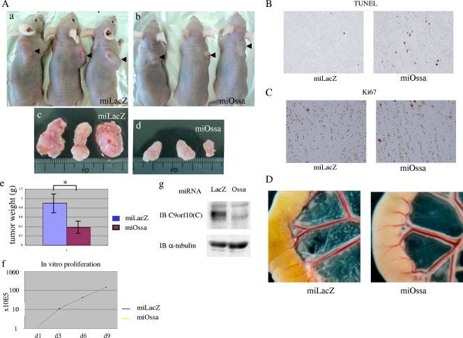 FIG. 8.