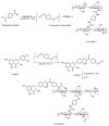 Scheme 7