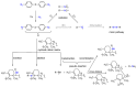 Scheme 3