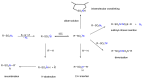 Scheme 5
