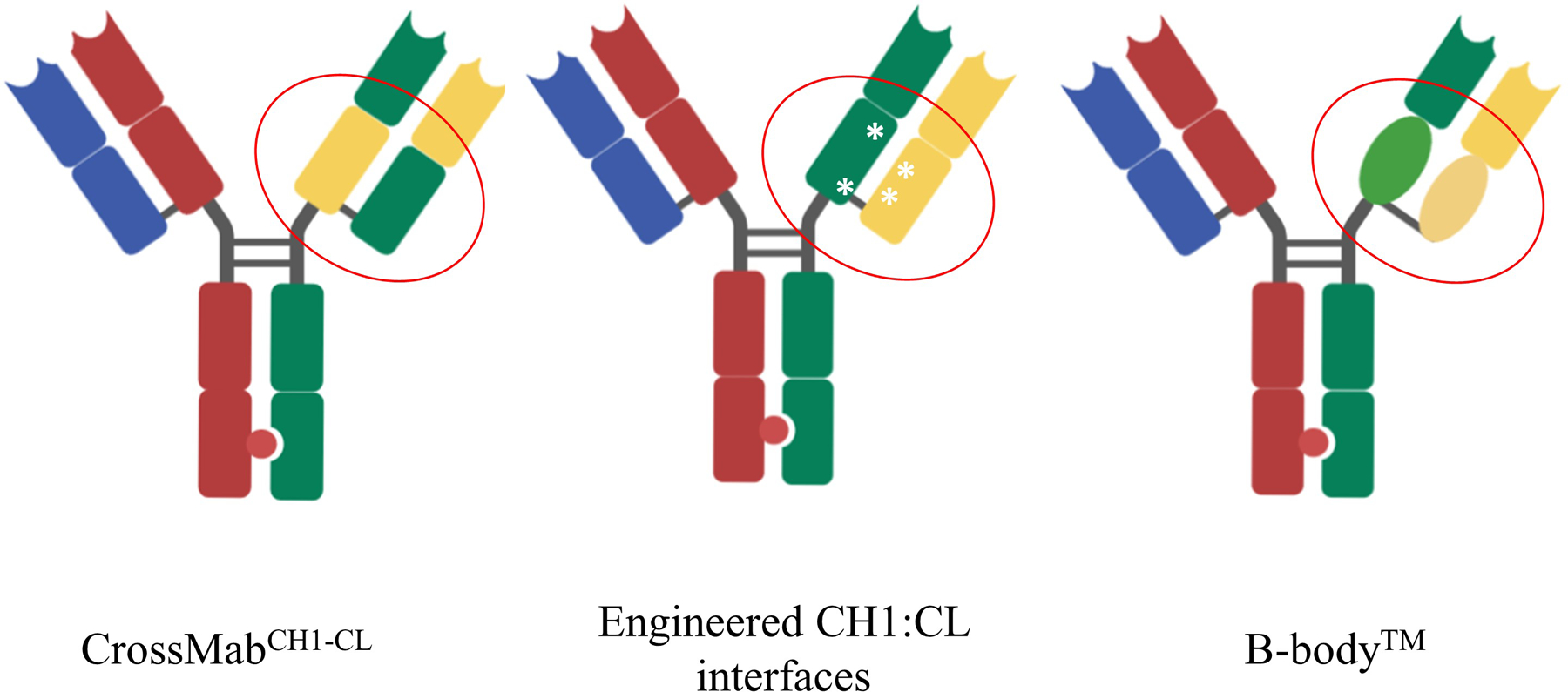 Figure 1.