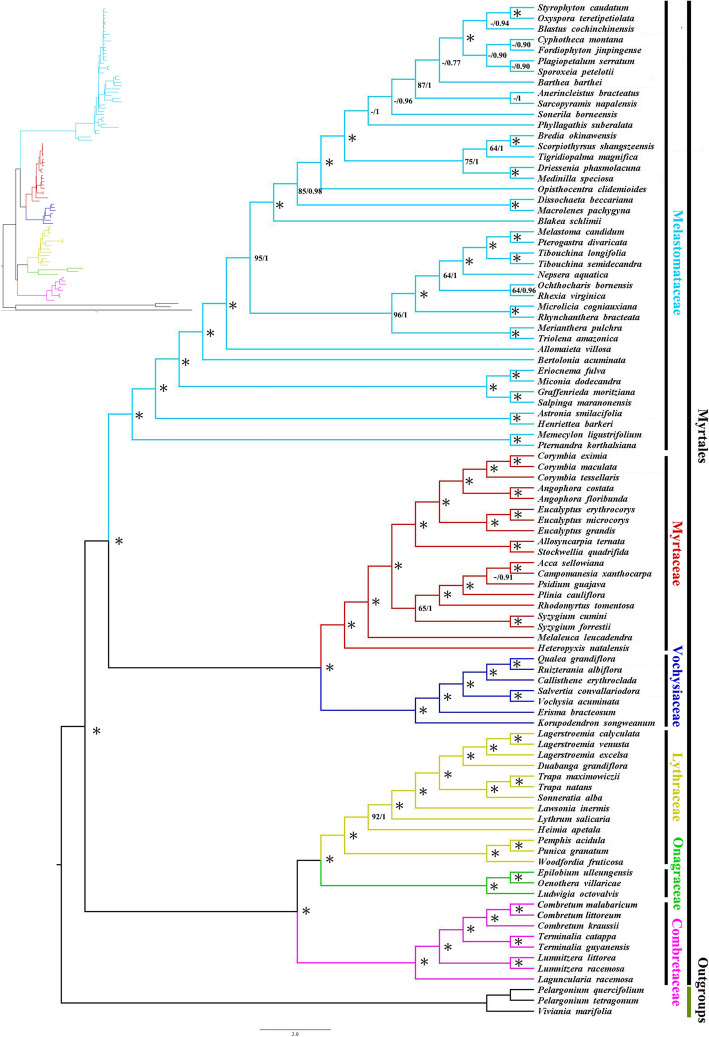 Fig. 6