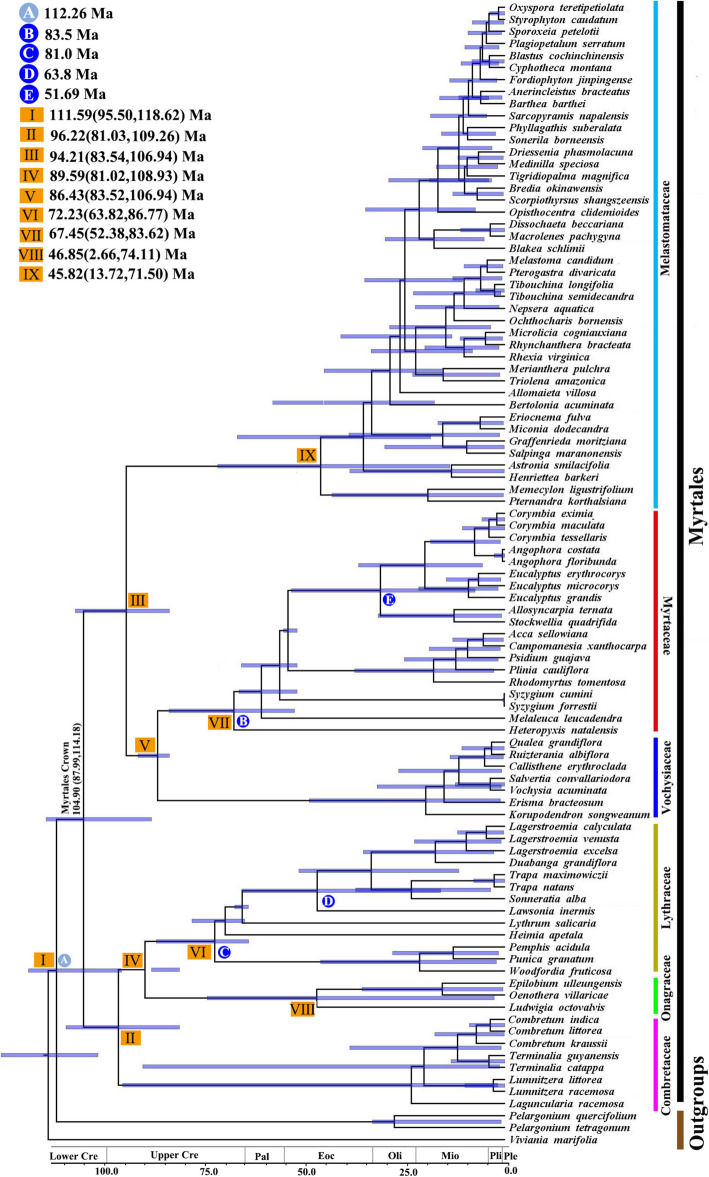 Fig. 7