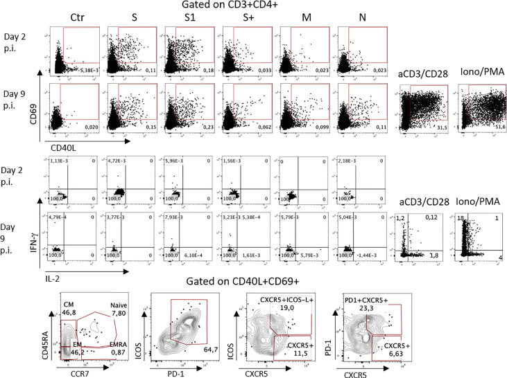 Figure 2