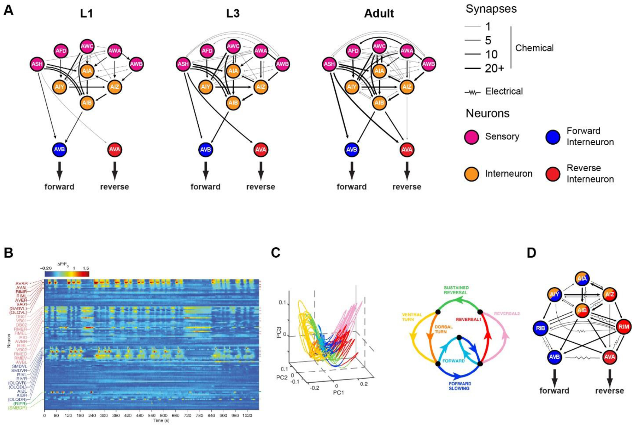 Figure 1: