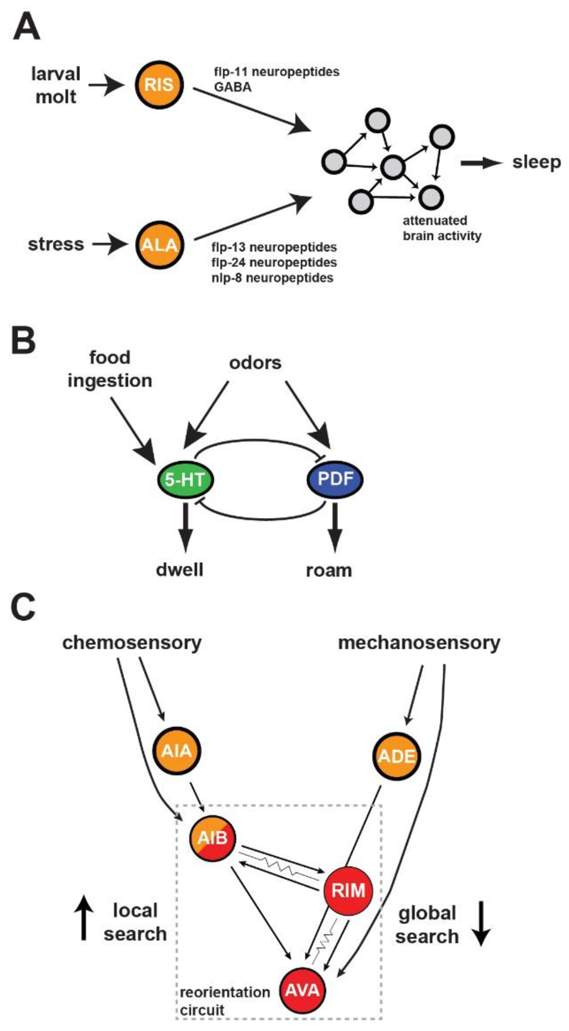 Figure 3: