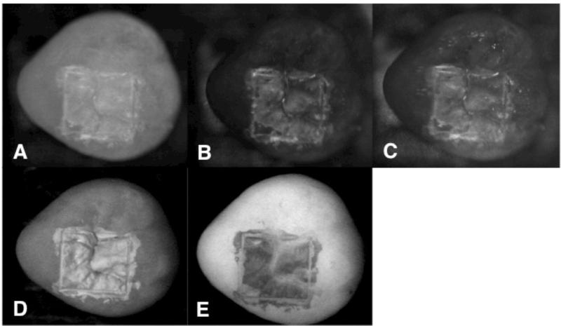 Fig. 4