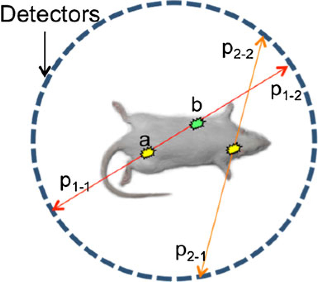 Fig. 2