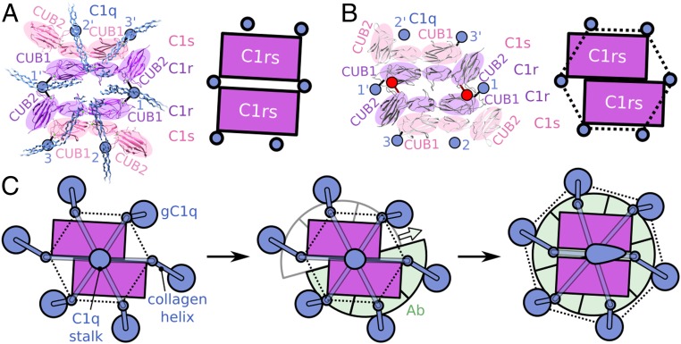 Fig. 4.