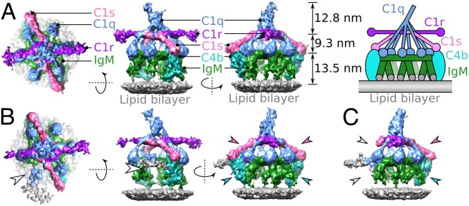 Fig. 1.