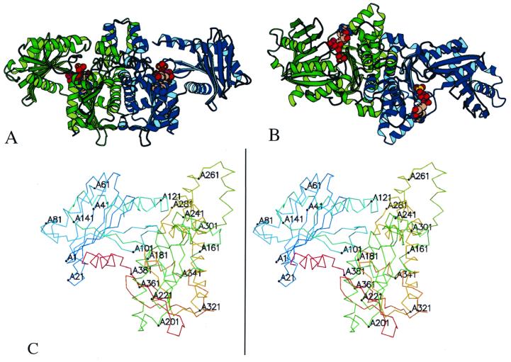 FIG. 1