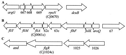 FIG. 1