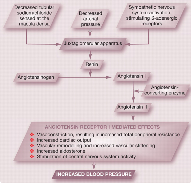 graphic file with name 10.1016_j.jfms.2010.11.007-fig5.jpg