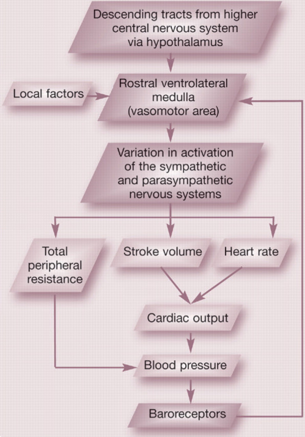 graphic file with name 10.1016_j.jfms.2010.11.007-fig4.jpg