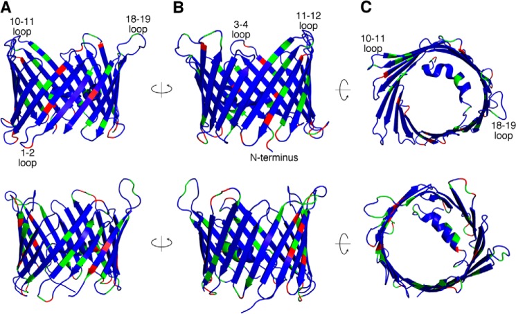 FIGURE 9.