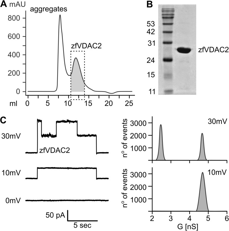 FIGURE 2.