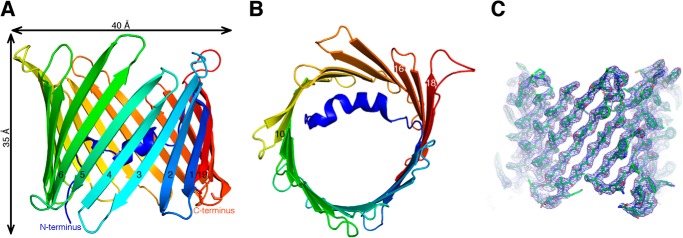 FIGURE 3.