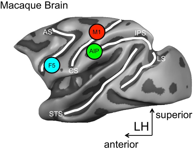 Figure 1.