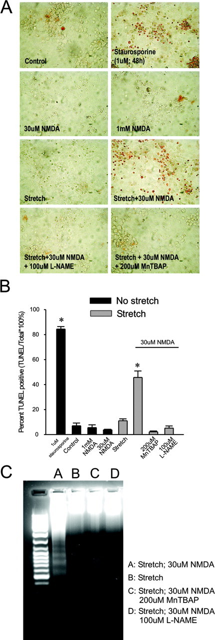 
Figure 9.
