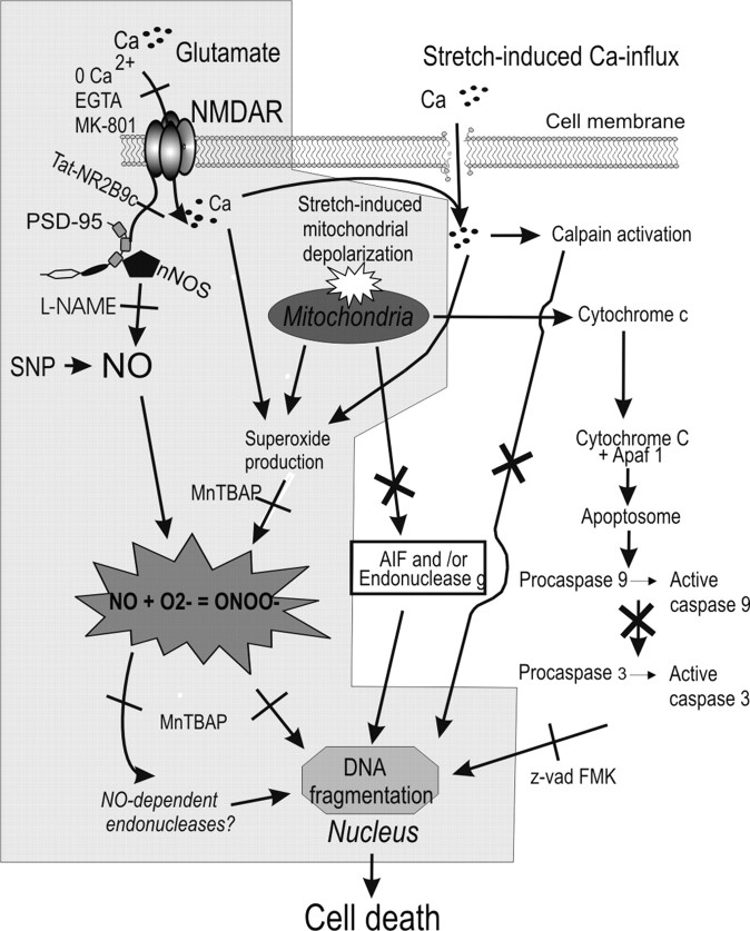 
Figure 12.
