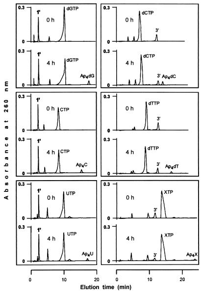 FIG. 6