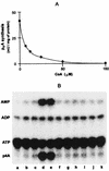 FIG. 7