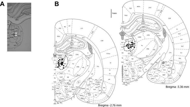 Fig. 1.