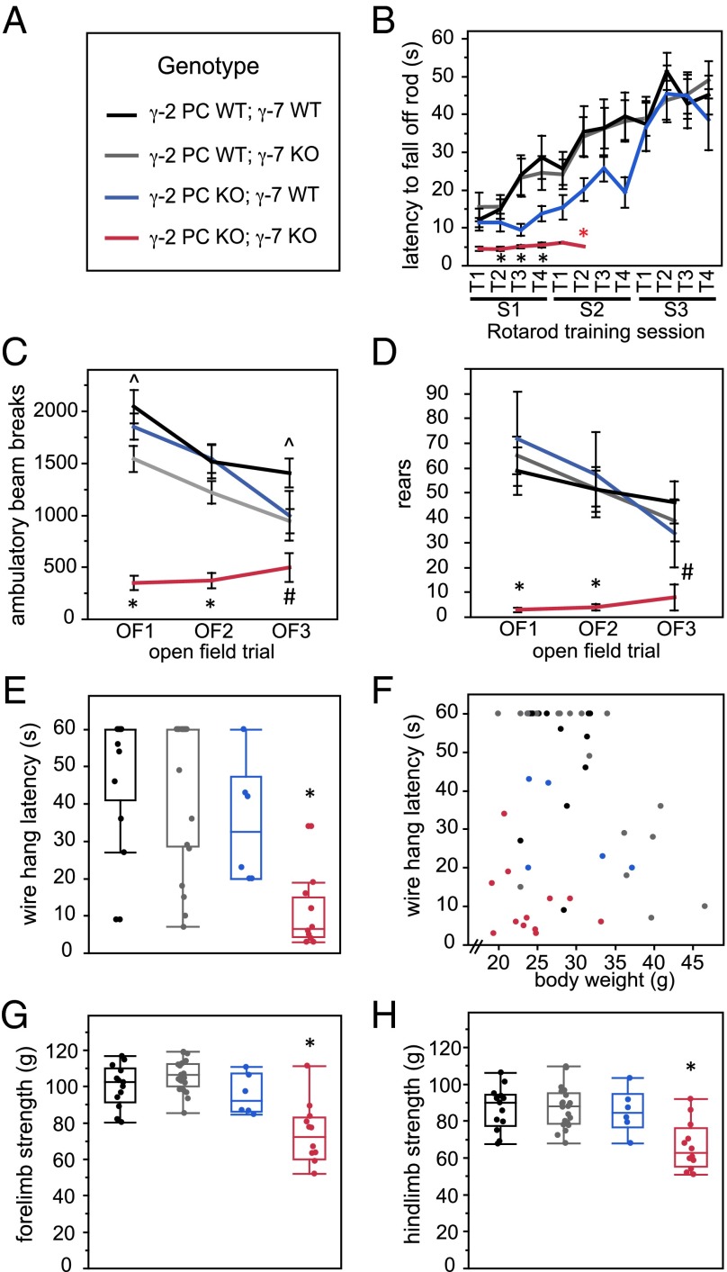 Fig. 6.