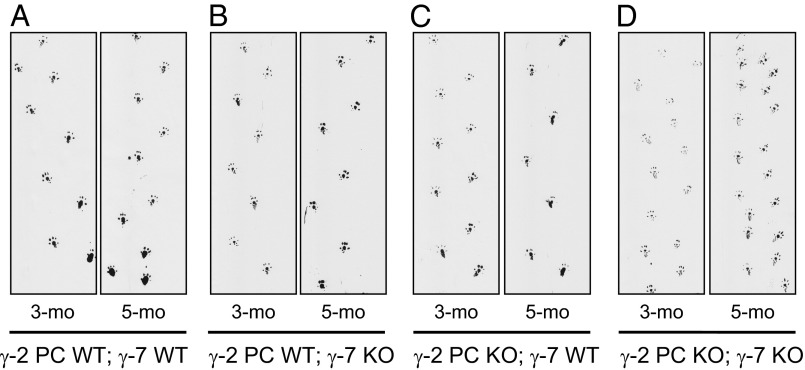 Fig. 5.