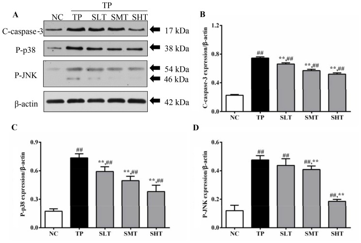 Figure 5.