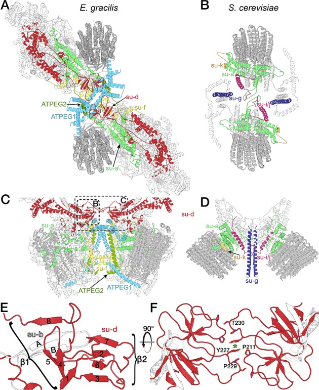 Figure 4—figure supplement 1.