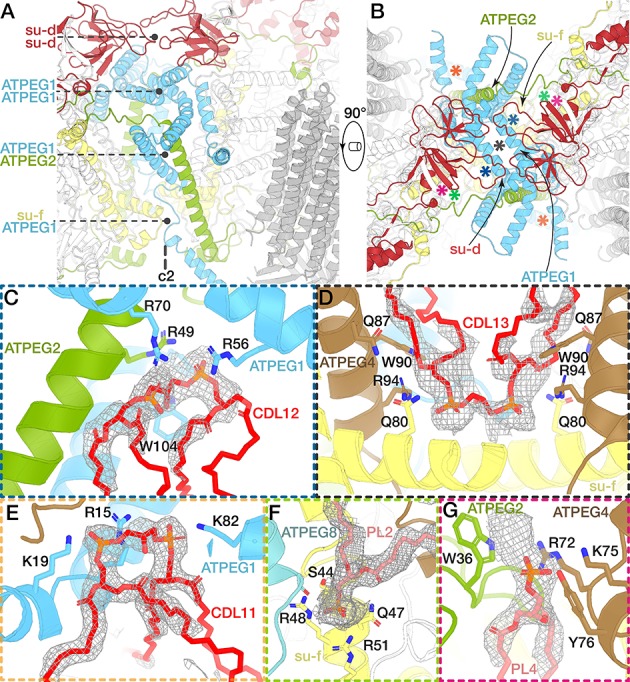 Figure 4.