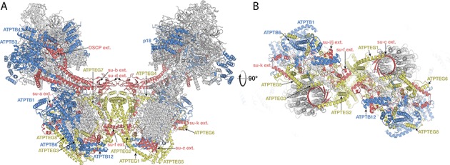 Figure 4—figure supplement 2.