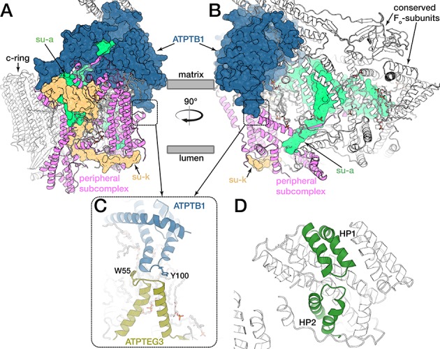 Figure 6—figure supplement 1.