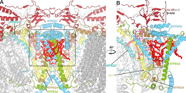 Figure 4—figure supplement 3.