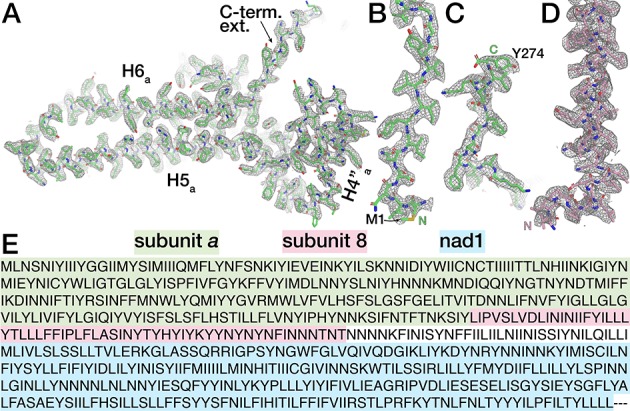 Figure 2—figure supplement 1.