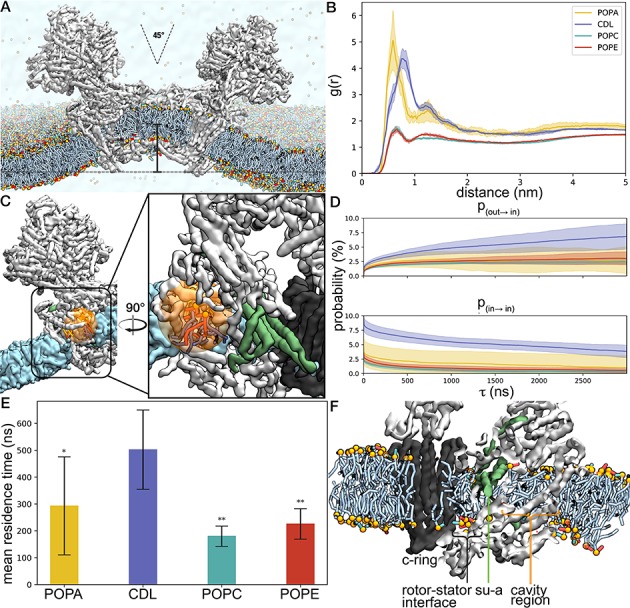 Figure 6—figure supplement 2.