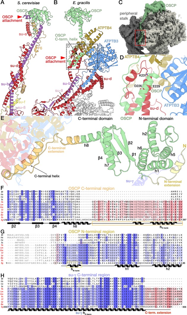 Figure 6—figure supplement 3.