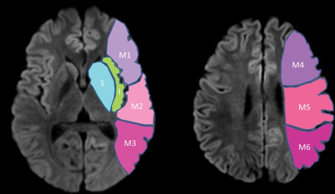 Fig 5.