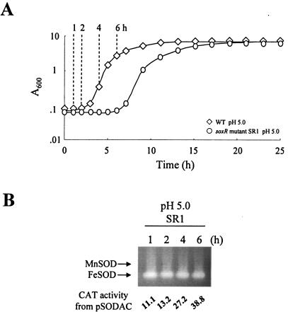 FIG. 7.