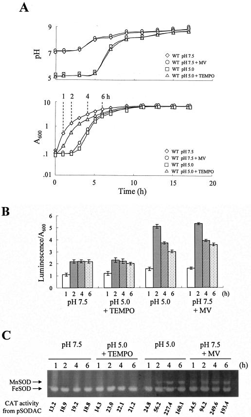 FIG. 4.