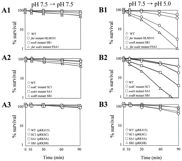 FIG. 8.