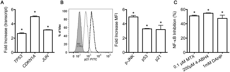 Fig. 2