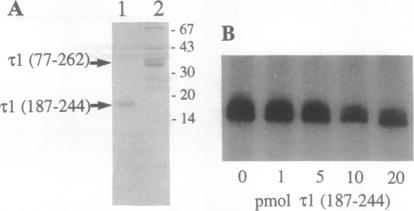 graphic file with name pnas01127-0032-a.jpg