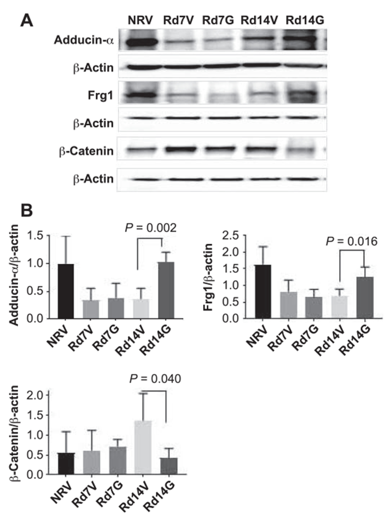 FIG. 9.