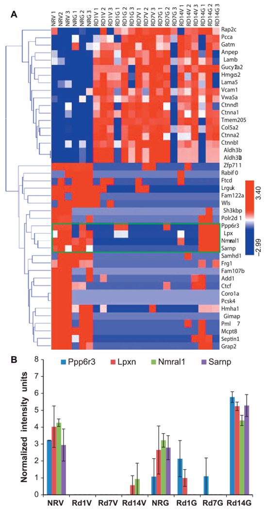 FIG. 6.