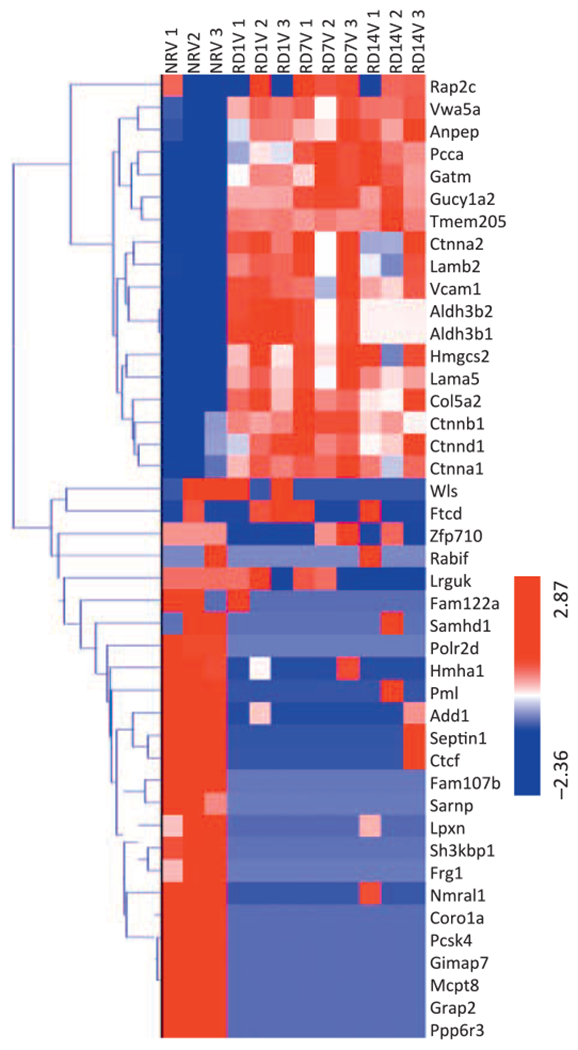 FIG. 2.