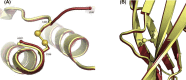Figure 8